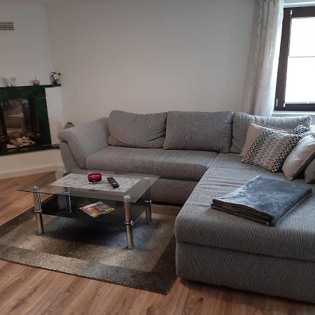 Familienfreundliche Ferienwohnung Zschorlau 외부 사진